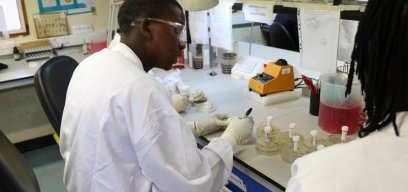 lab scientist